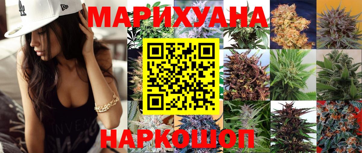 Конопля ГИДРОПОН  Каннабис SATIVA & INDICA  Богородицк  Канабис планчик  Вход с VPN 